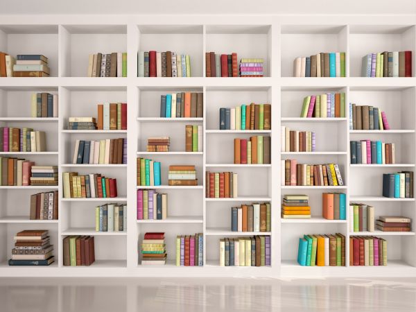 Bookshelf Assembly in Sioux City