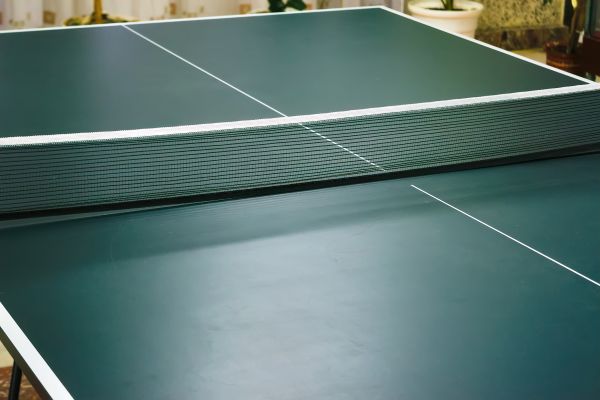 Ping Pong Table Assembly in Sioux City